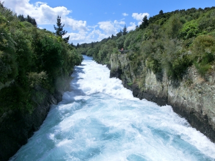 waitomo (49)